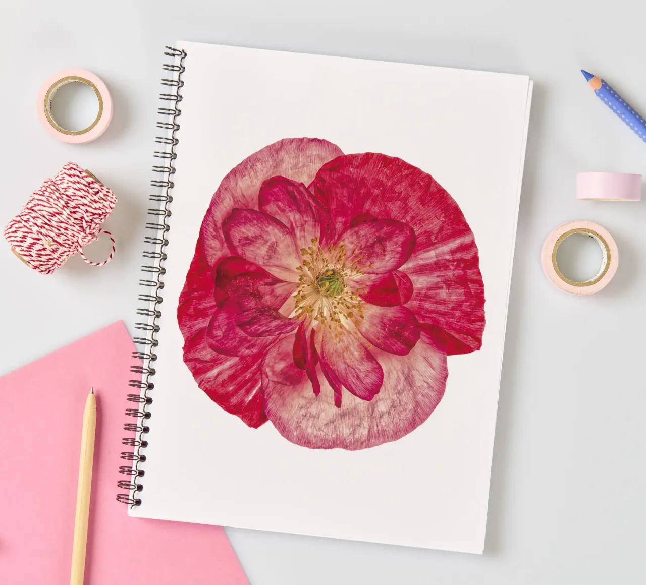 Blush of Nature: Pink Poppy spiral notebook by Curious Collections by Marielle Leenders