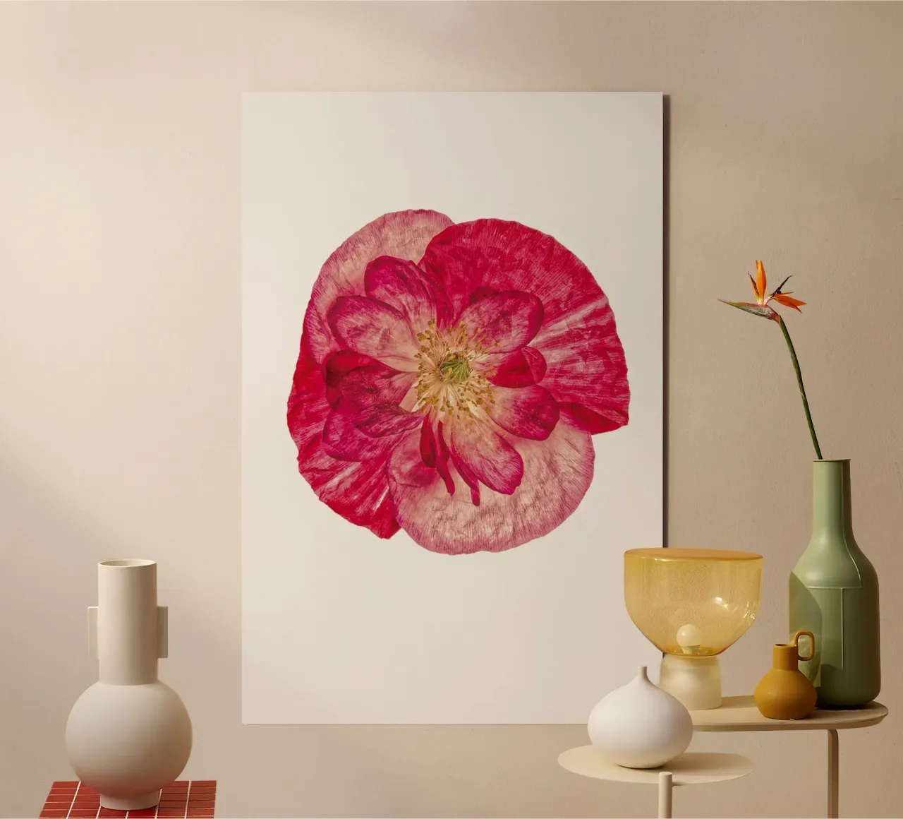 Blush of Nature: Papavero rosa alluminio dibond da Curious Collections by Marielle Leenders