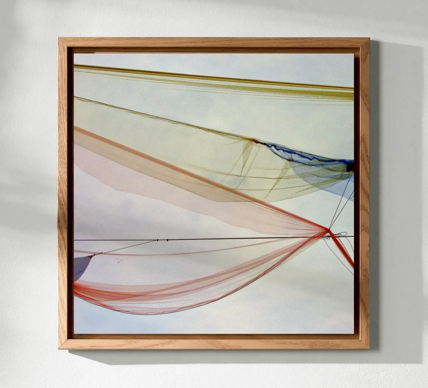 SOFTNESS forex plate by Inge Hauser Illustration