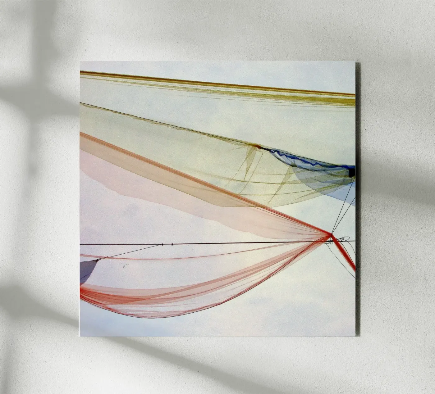 SOFTNESS forex plate by Inge Hauser Illustration