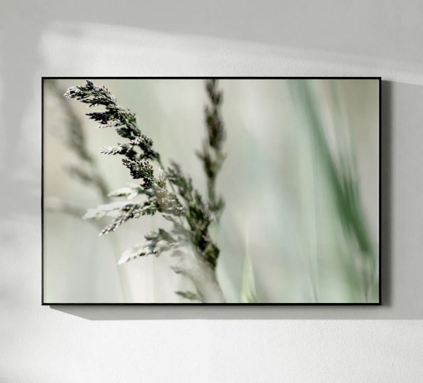 SOFT GRASS plexiglass da Inge Hauser Illustration