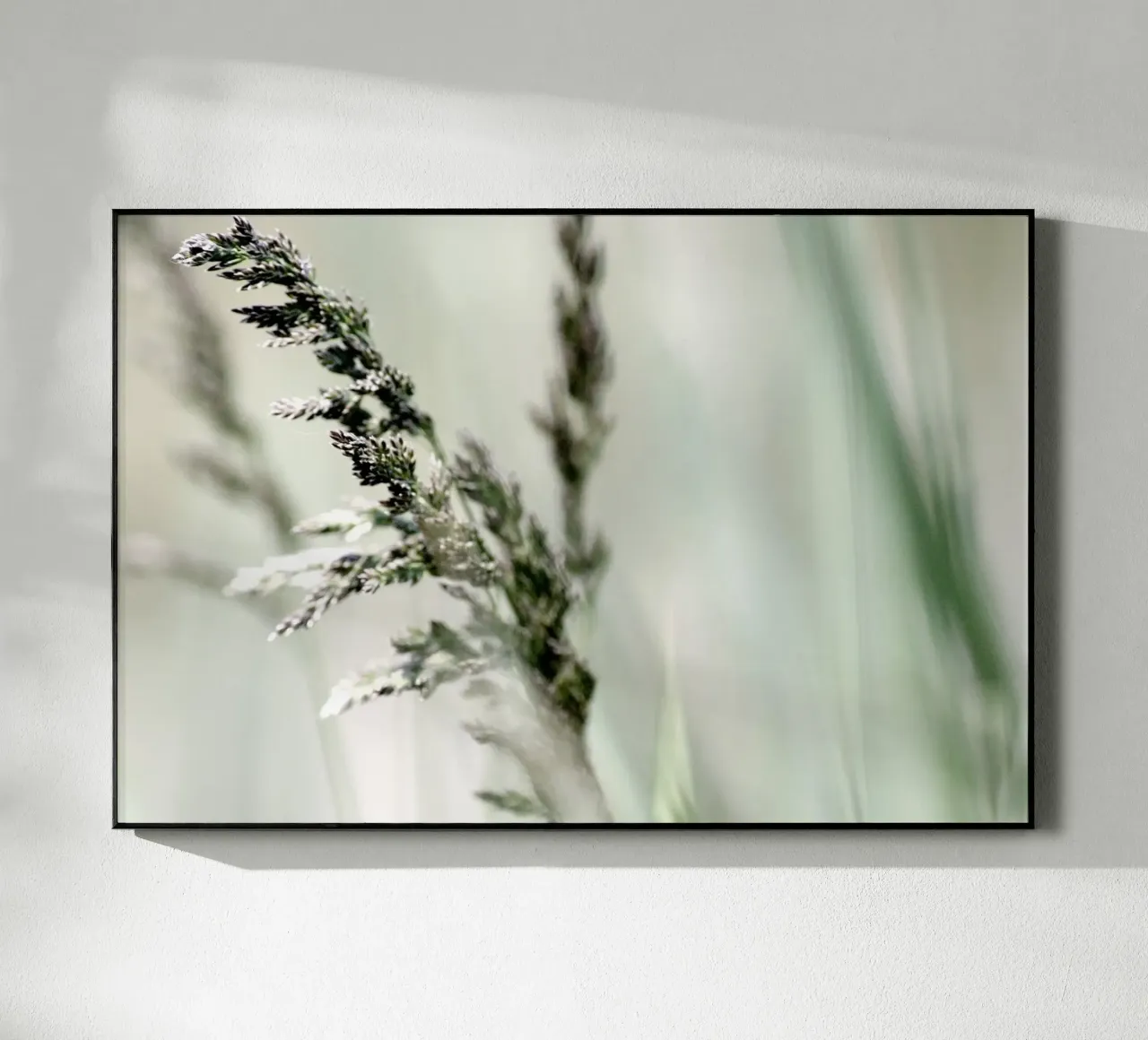 GRASSO MORBIDO plexiglass da Inge Hauser Illustration