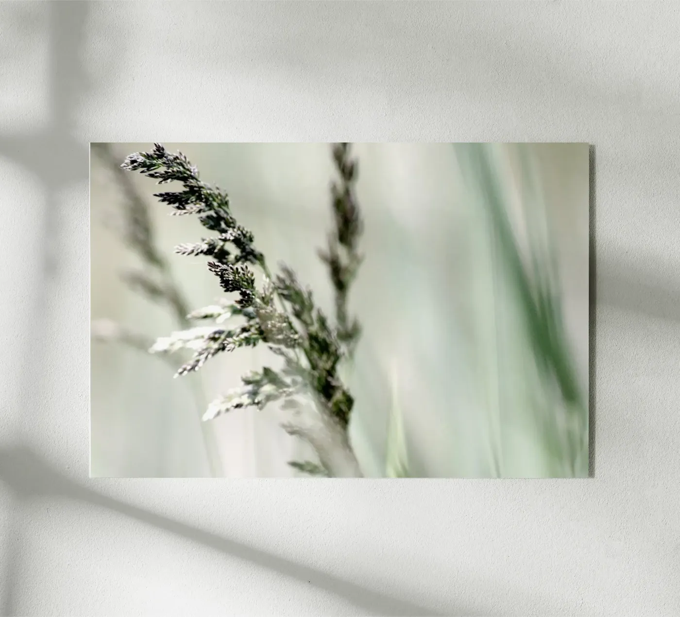 SOFT GRASS plexiglas de Inge Hauser Illustration