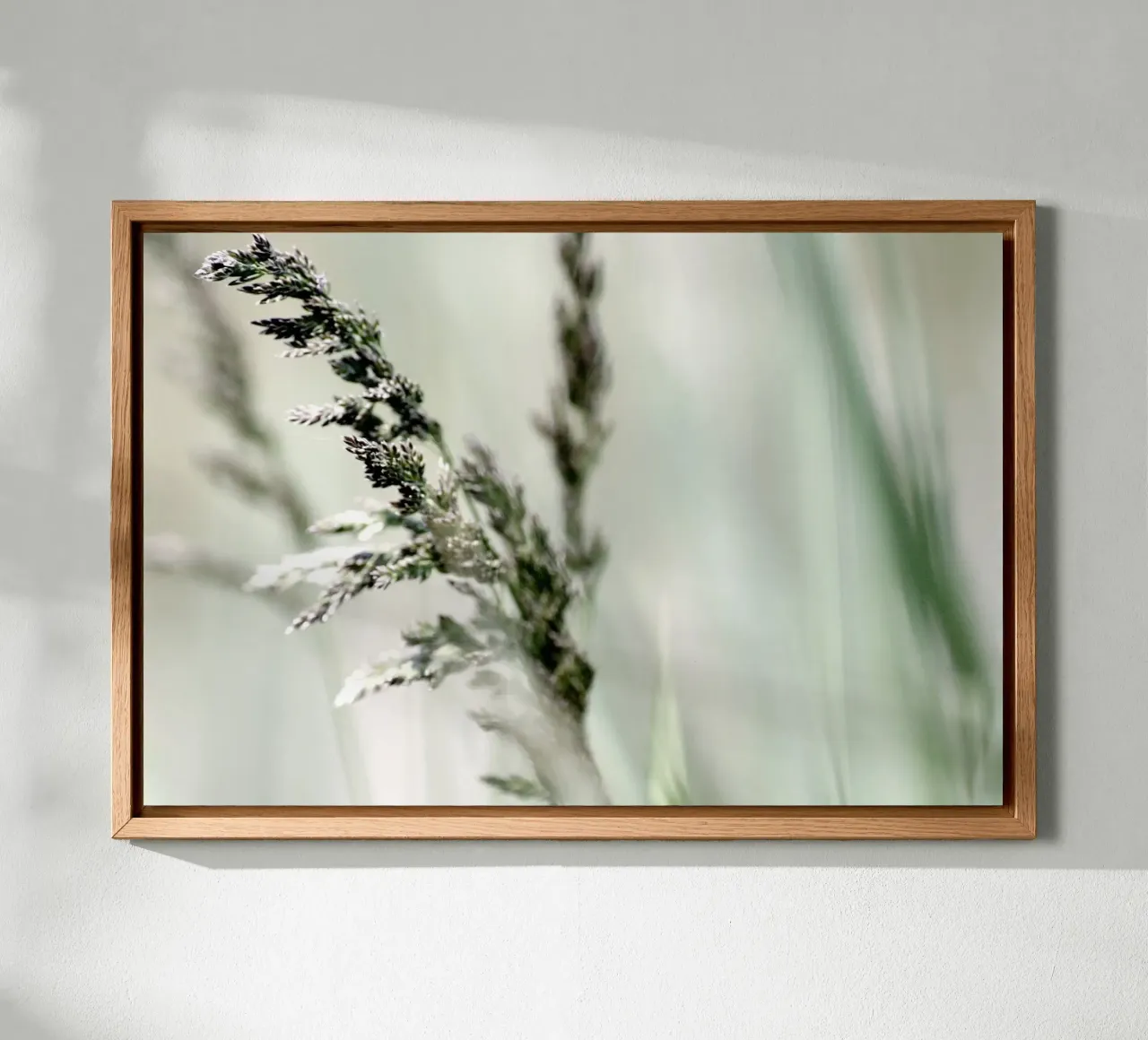 SOFT GRASS forex plate by Inge Hauser Illustration