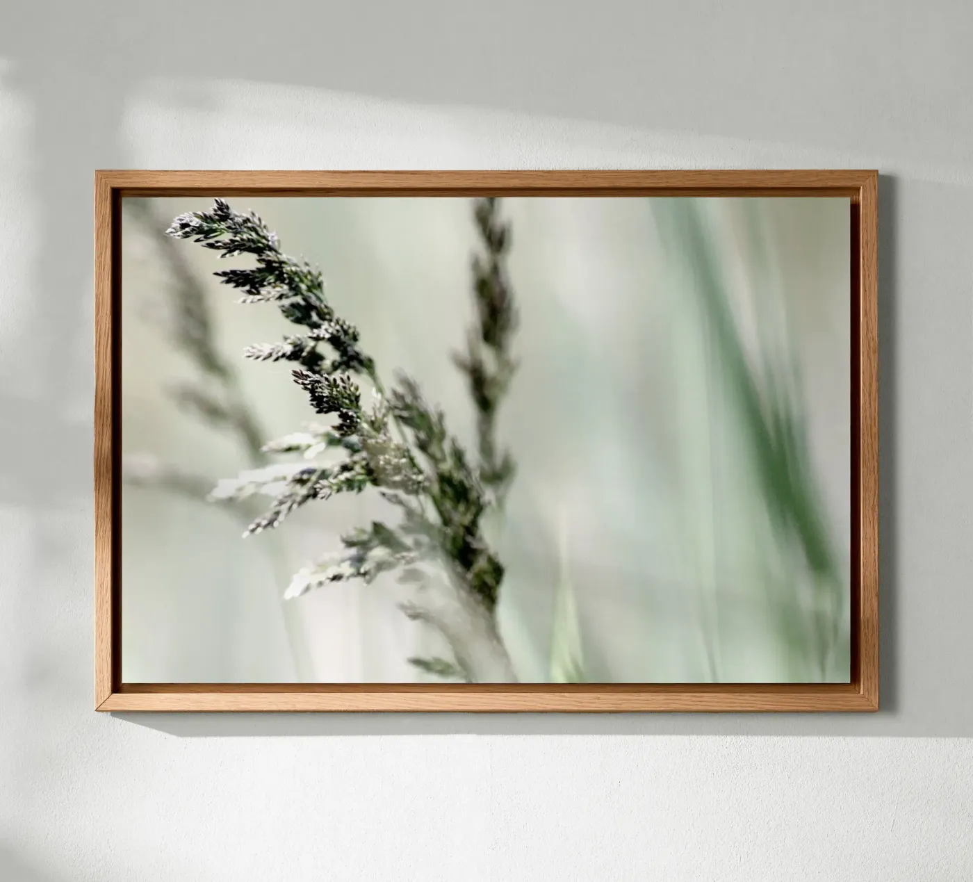 SOFT GRASS forex-plaat van Inge Hauser Illustration