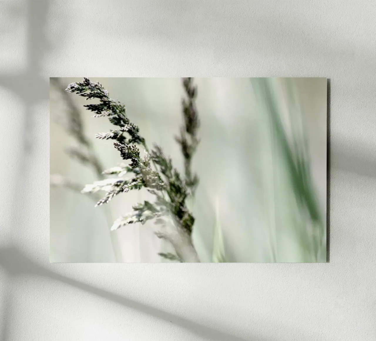 SOFT GRASS forex plate by Inge Hauser Illustration