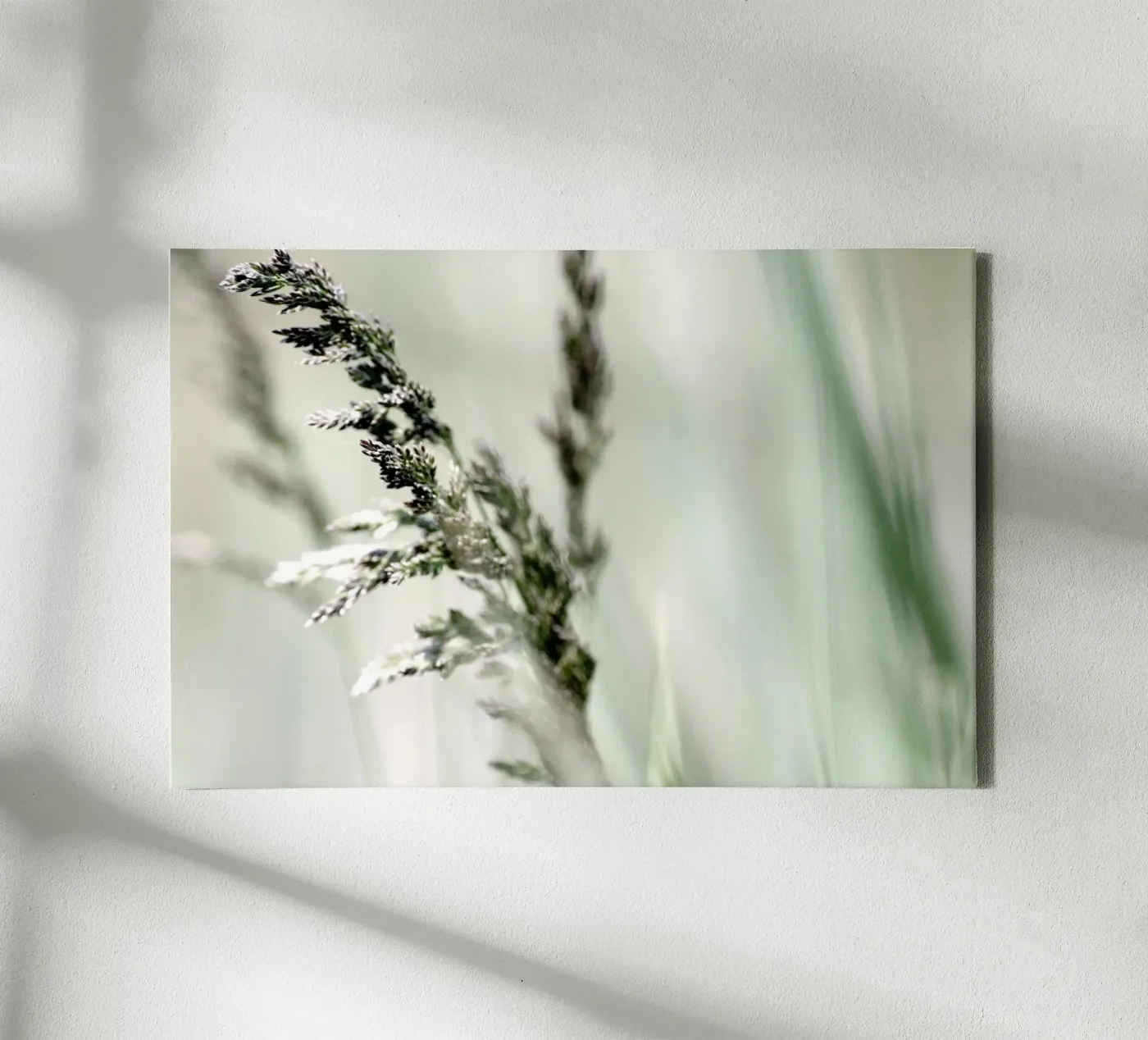 SOFT GRASS canvas by Inge Hauser Illustration