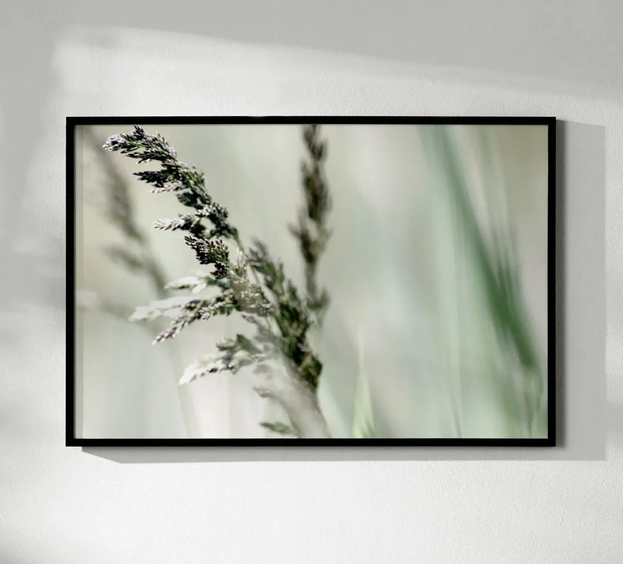 SOFT GRASS poster by Inge Hauser Illustration