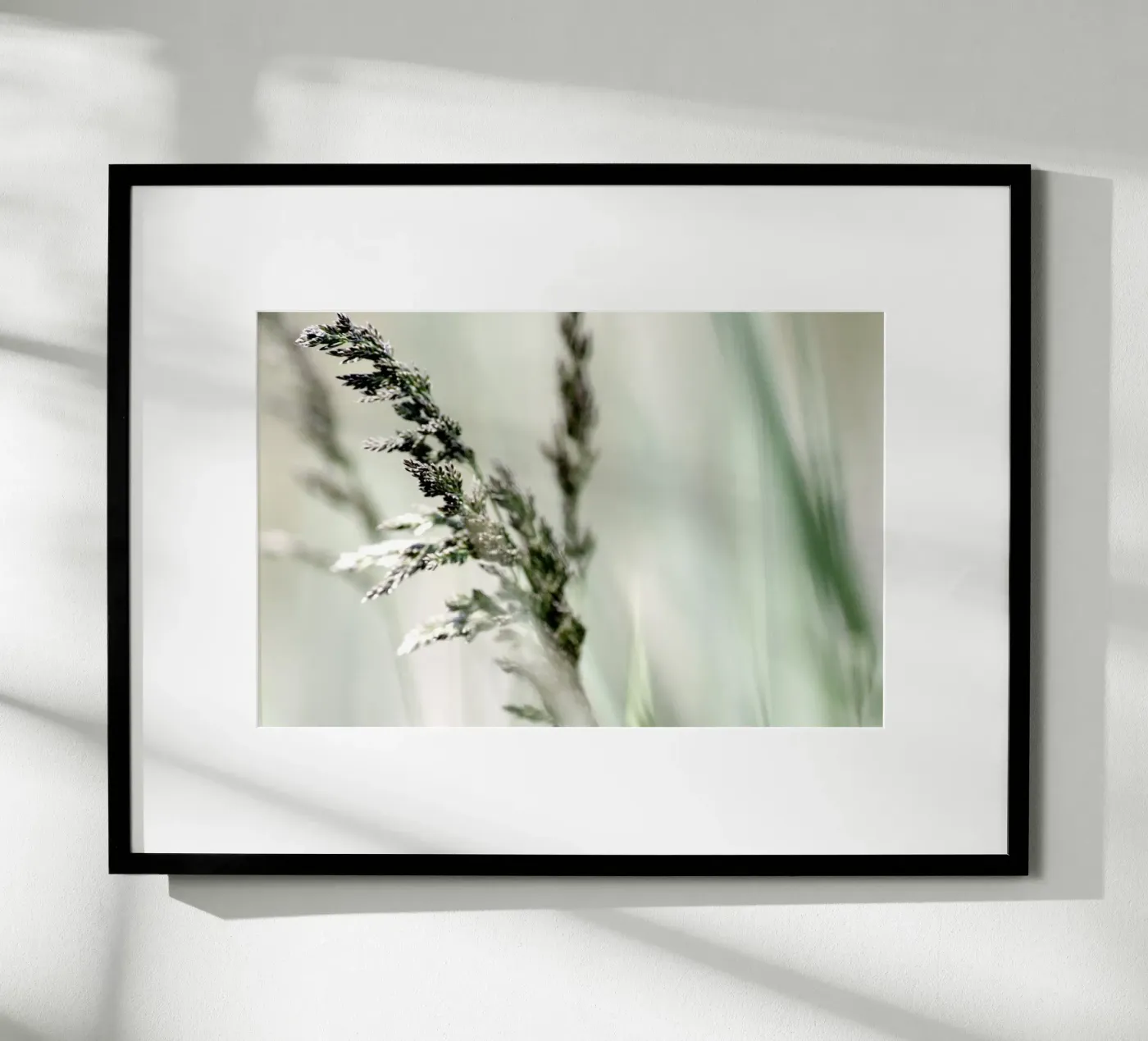 HERBE DOUCE poster de Inge Hauser Illustration