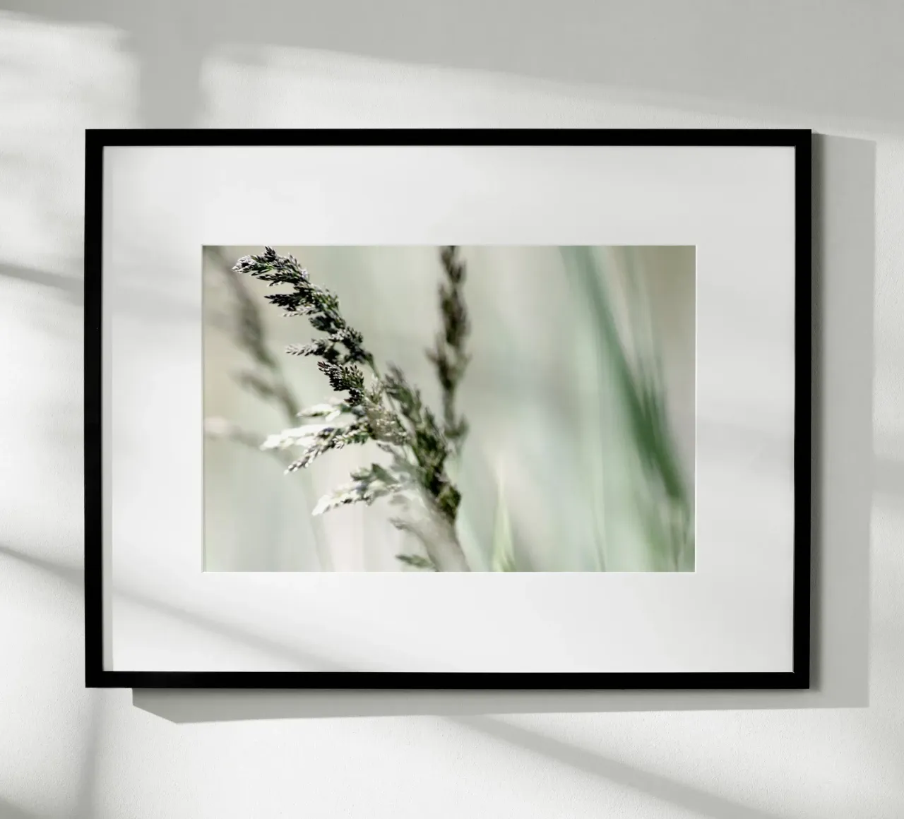 SOFT GRASS poster by Inge Hauser Illustration