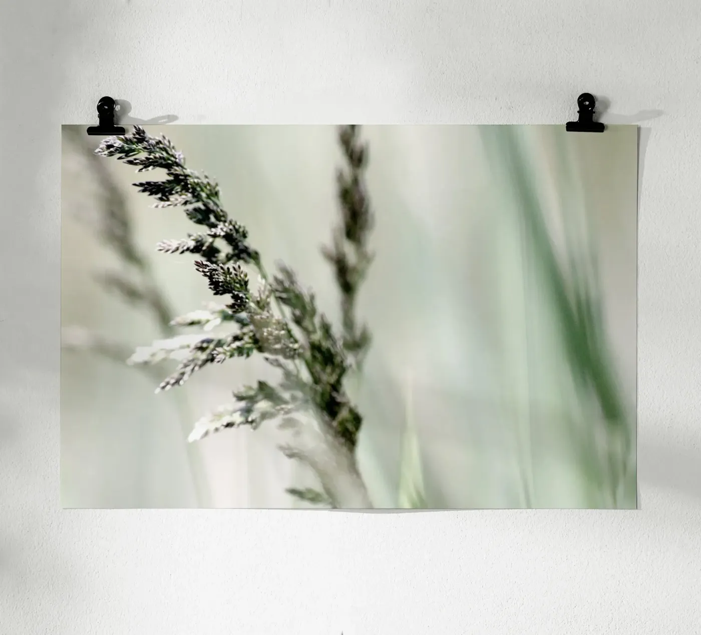 HERBE DOUCE poster de Inge Hauser Illustration