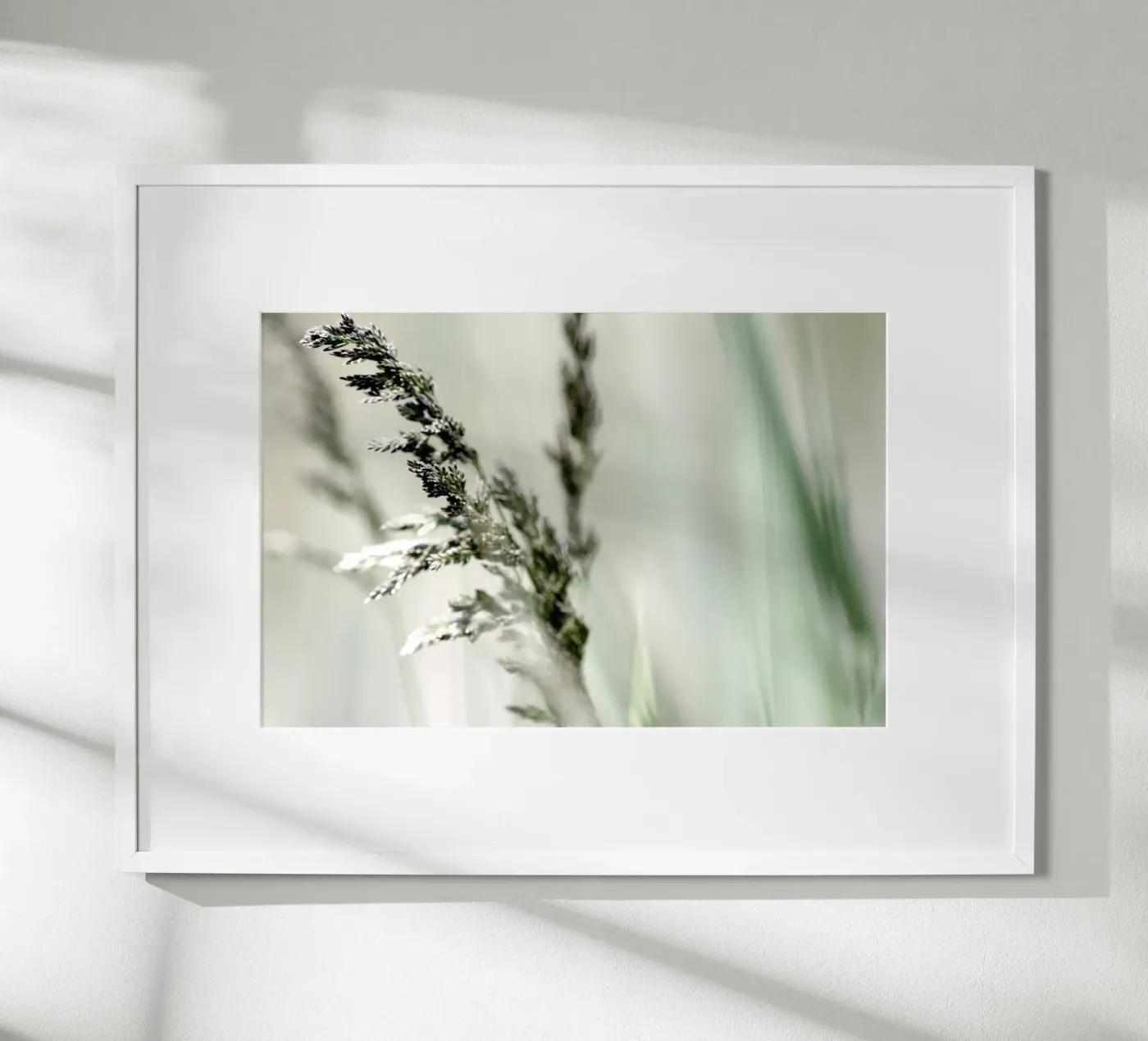 HERBE DOUCE poster de Inge Hauser Illustration