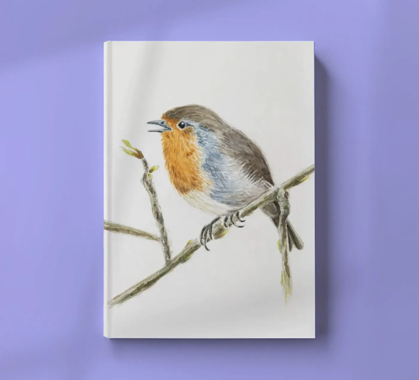 Robin Erithacus rubecula notebook by Barbara Buderath Illustrationen