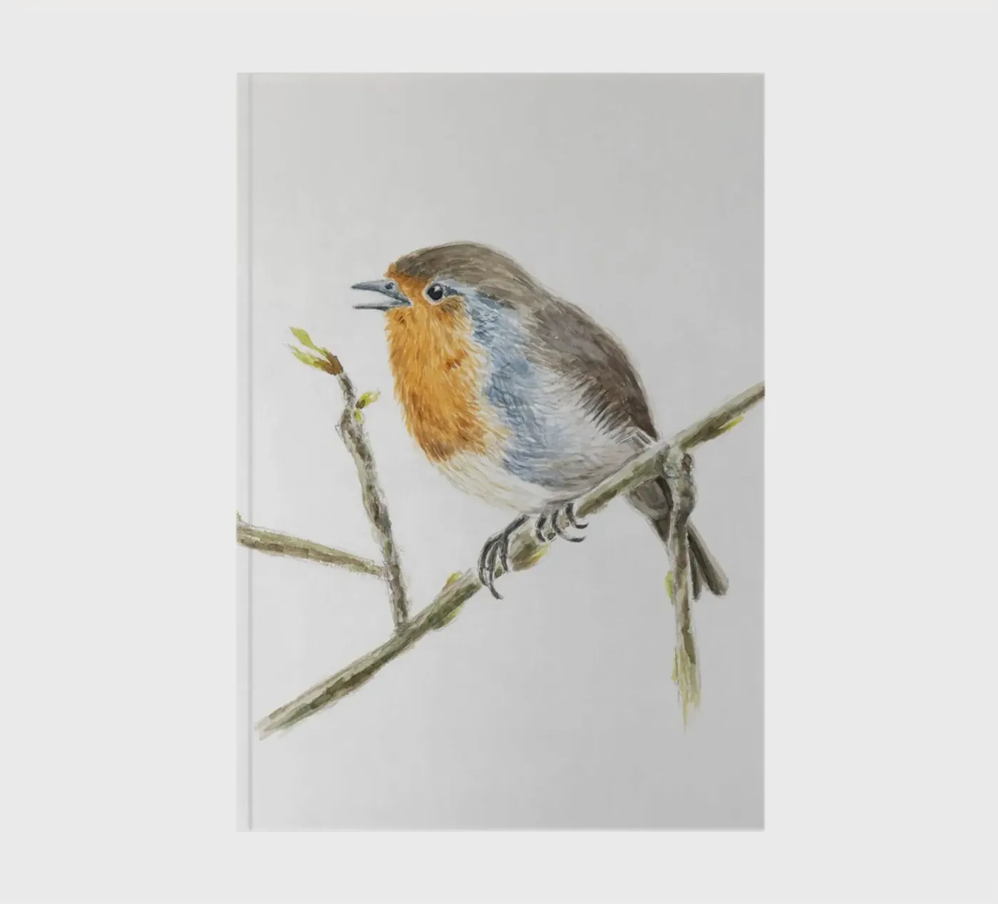 Robin Erithacus rubecula notebook by Barbara Buderath Illustrationen