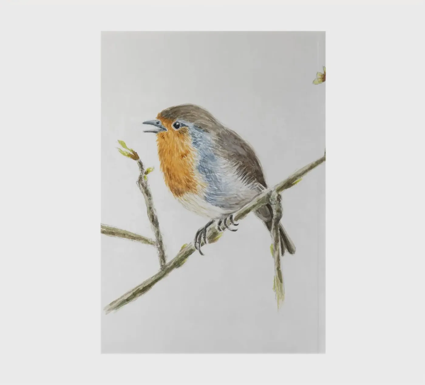 Robin Erithacus rubecula notebook by Barbara Buderath Illustrationen