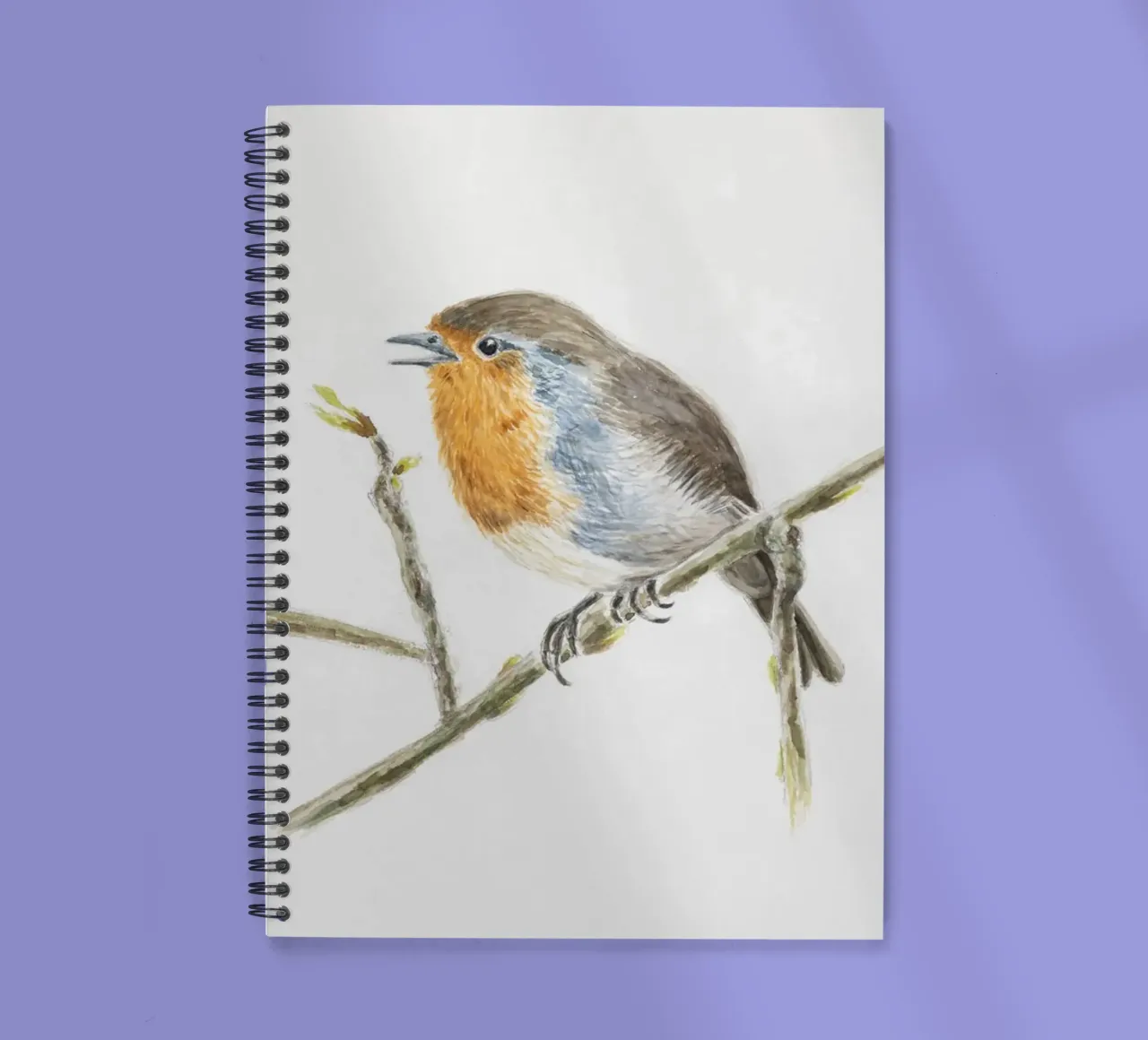 Robin" robin spiral notebook by Barbara Buderath Illustrationen