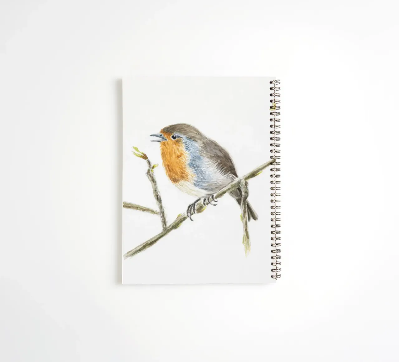 Robin" robin spiral notebook by Barbara Buderath Illustrationen