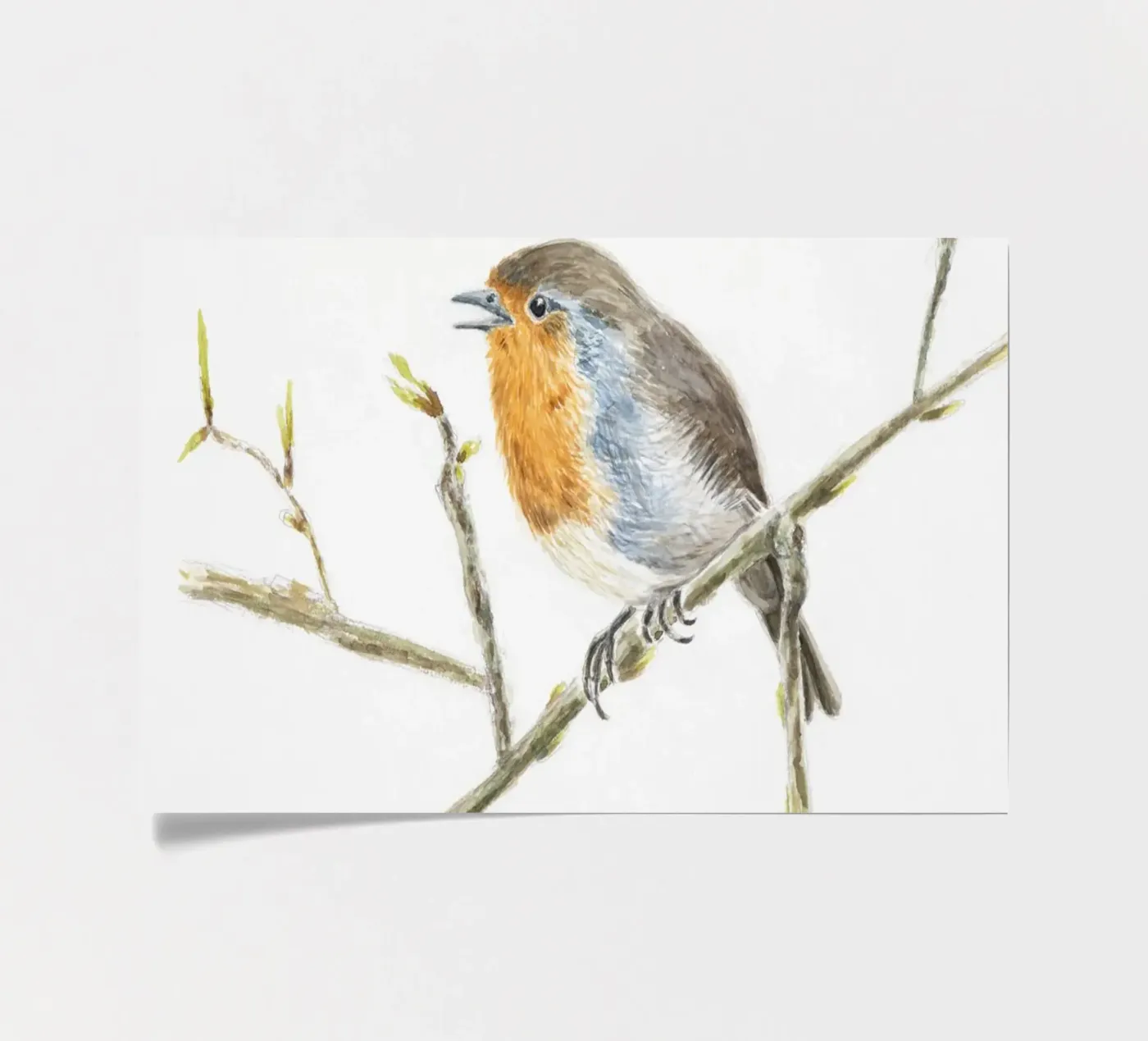 Robin Erithacus rubecula sticker sheet by Barbara Buderath Illustrationen
