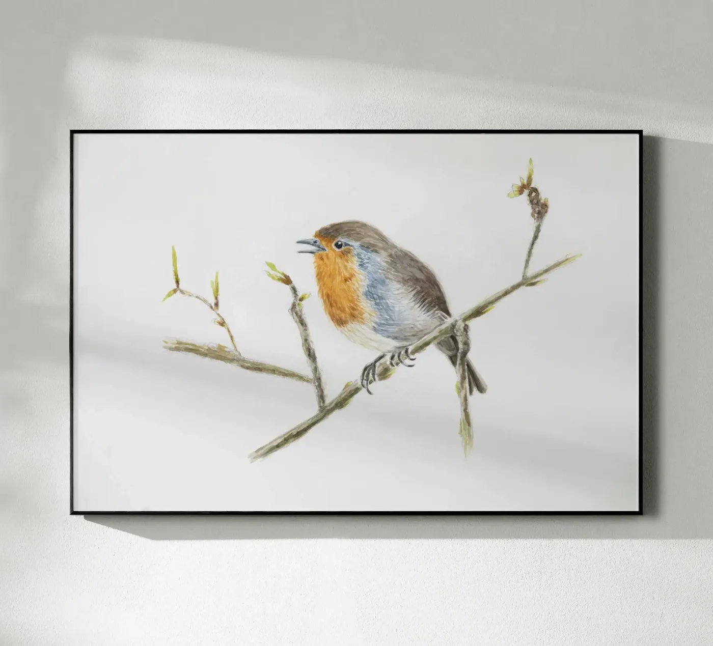 Robin Erithacus rubecula plexiglass da Barbara Buderath Illustrationen