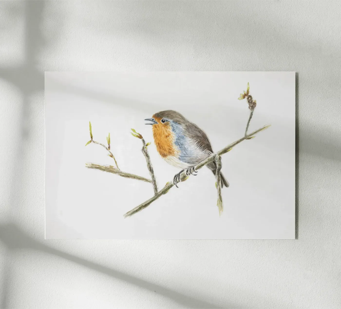 Robin Erithacus rubecula plexiglass da Barbara Buderath Illustrationen