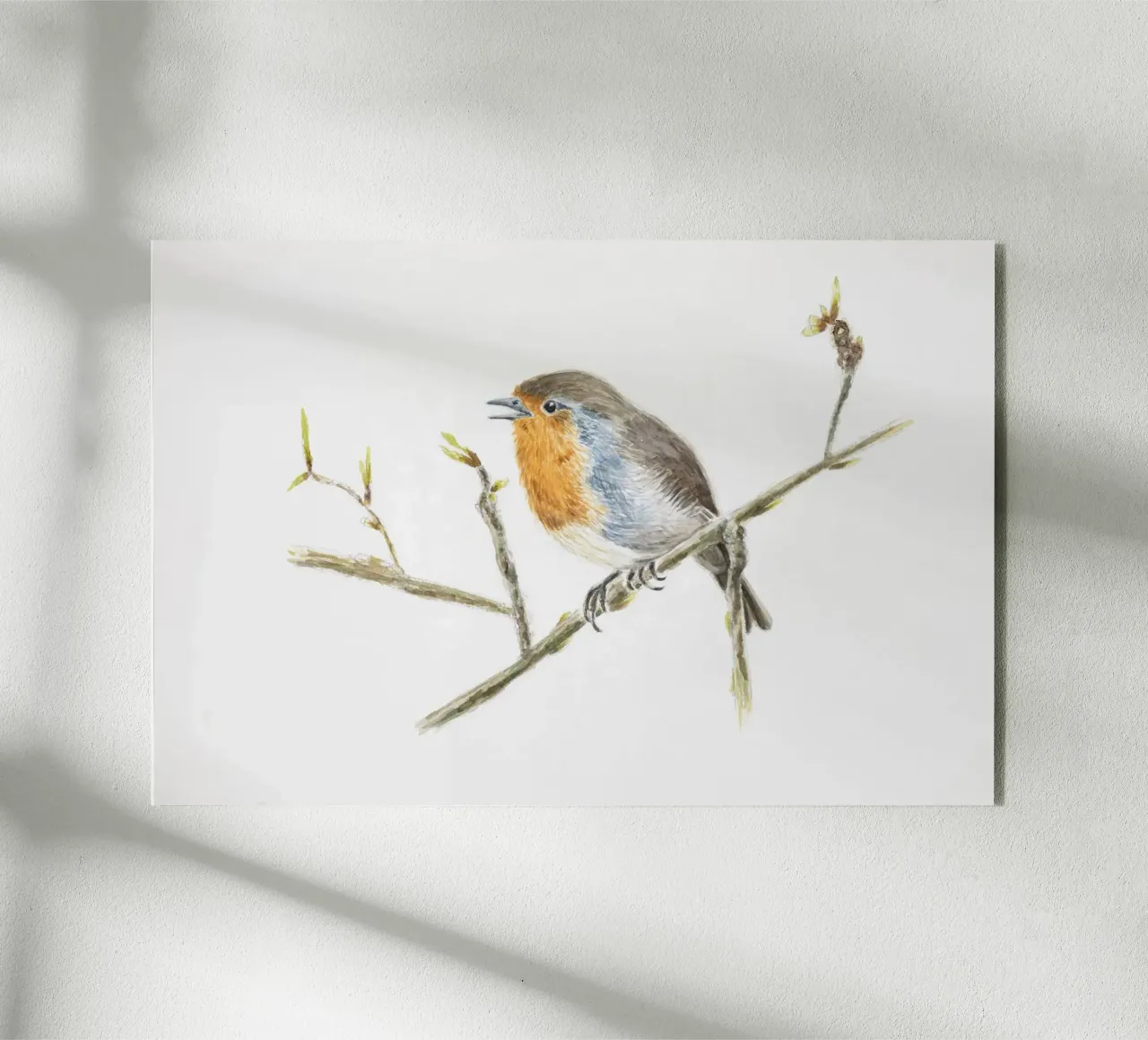Robin" robin Acryl-Glas von Barbara Buderath Illustrationen