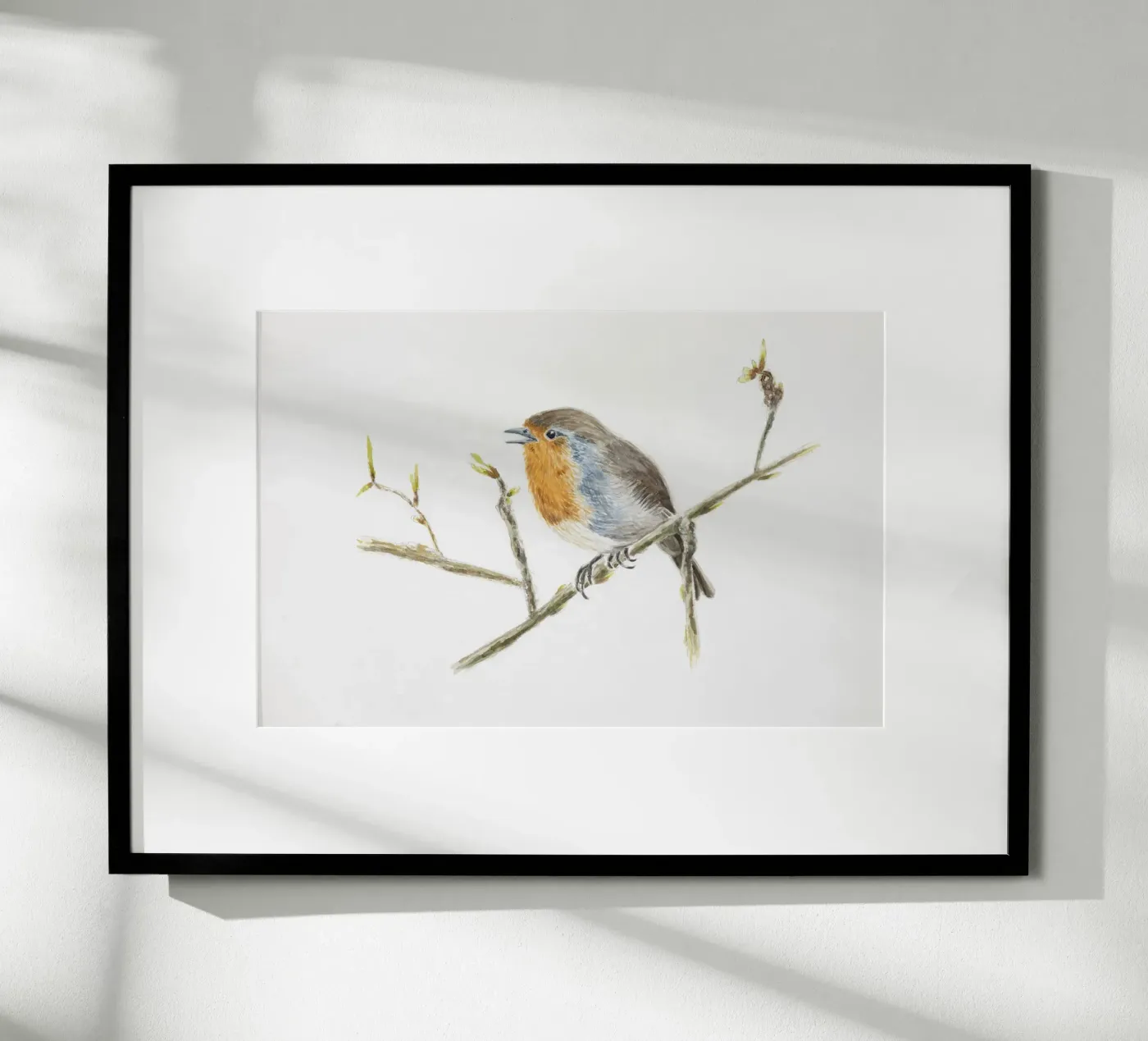 Robin Erithacus rubecula poster by Barbara Buderath Illustrationen