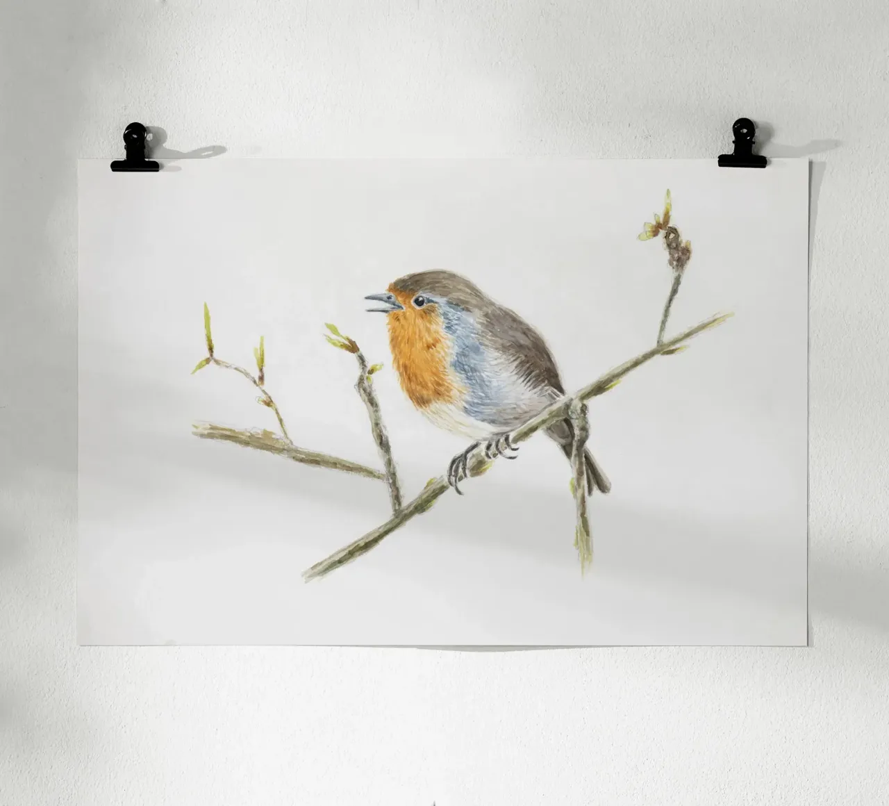 Robin" robin poster by Barbara Buderath Illustrationen