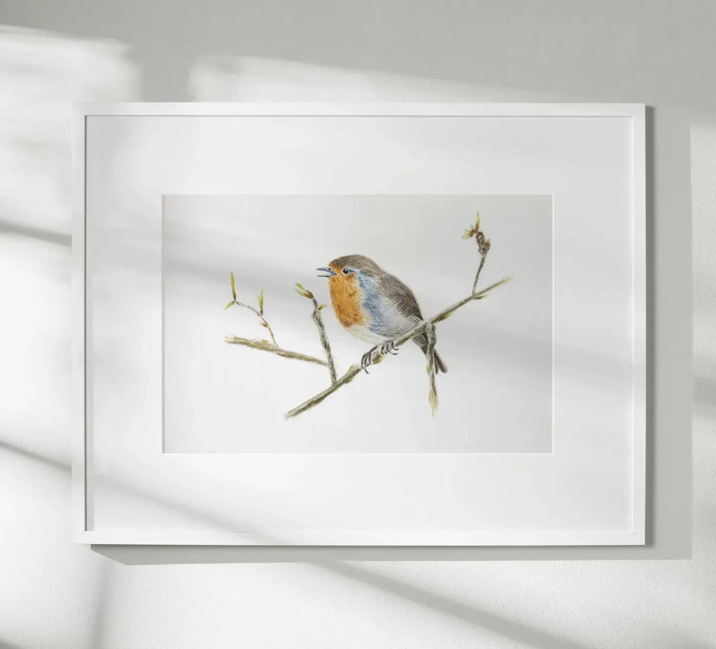Robin Erithacus rubecula poster by Barbara Buderath Illustrationen