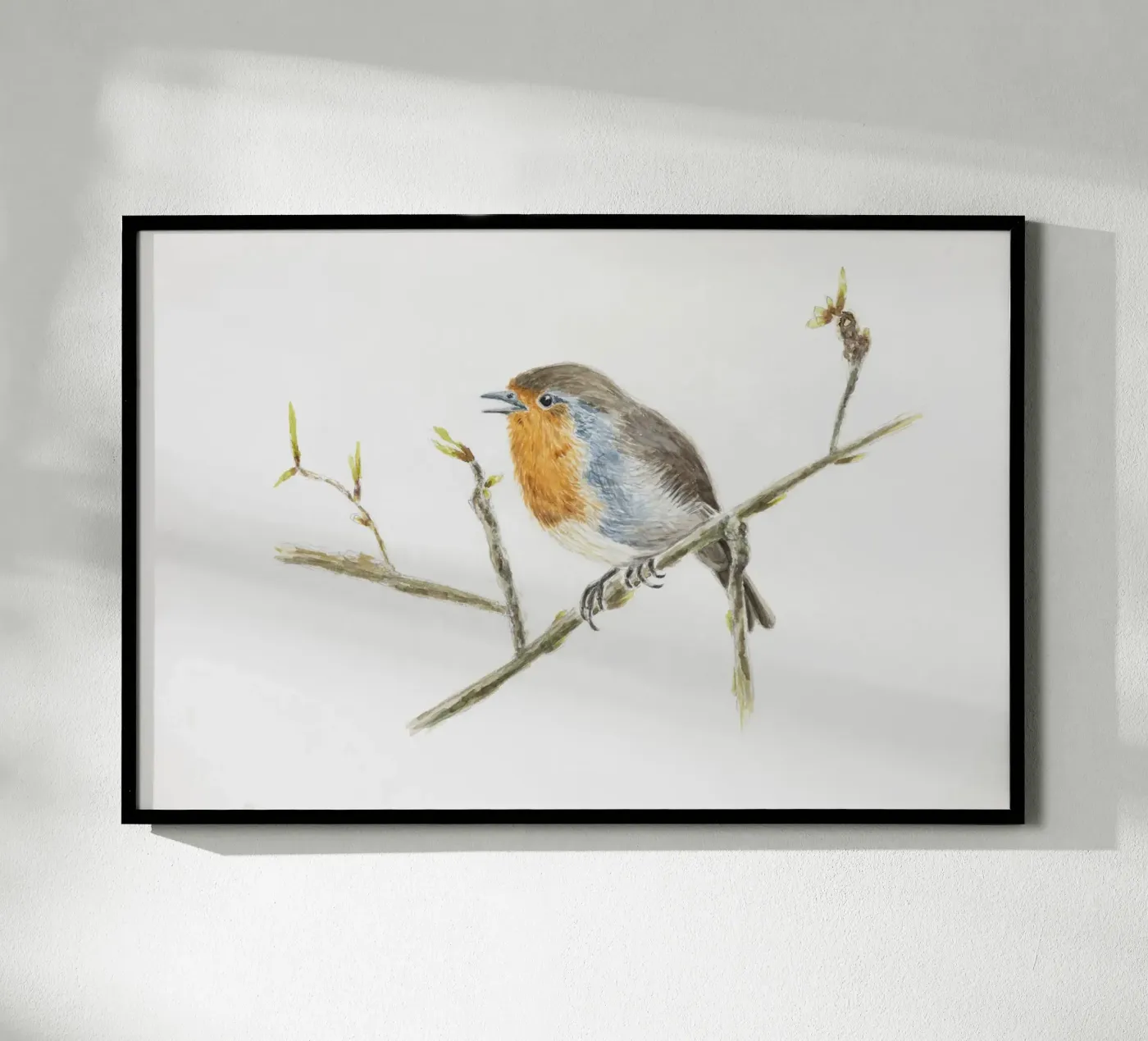 Robin Erithacus rubecula poster by Barbara Buderath Illustrationen