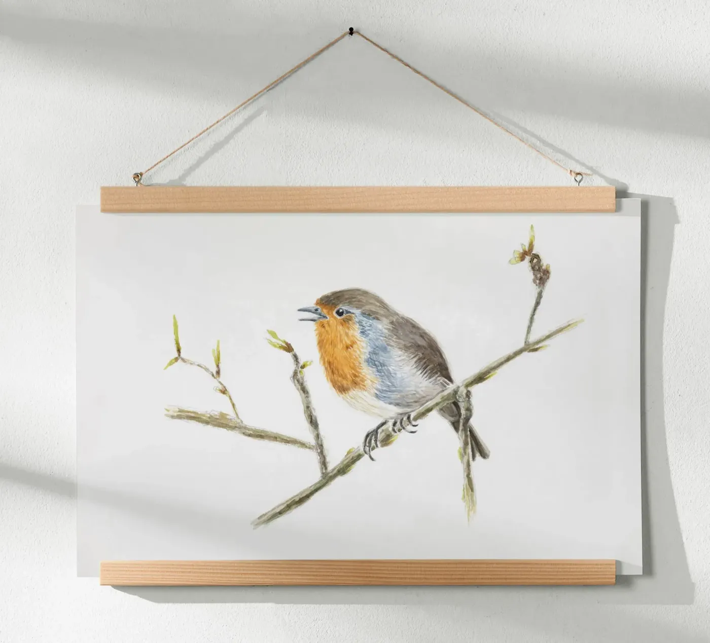 Robin Erithacus rubecula poster by Barbara Buderath Illustrationen