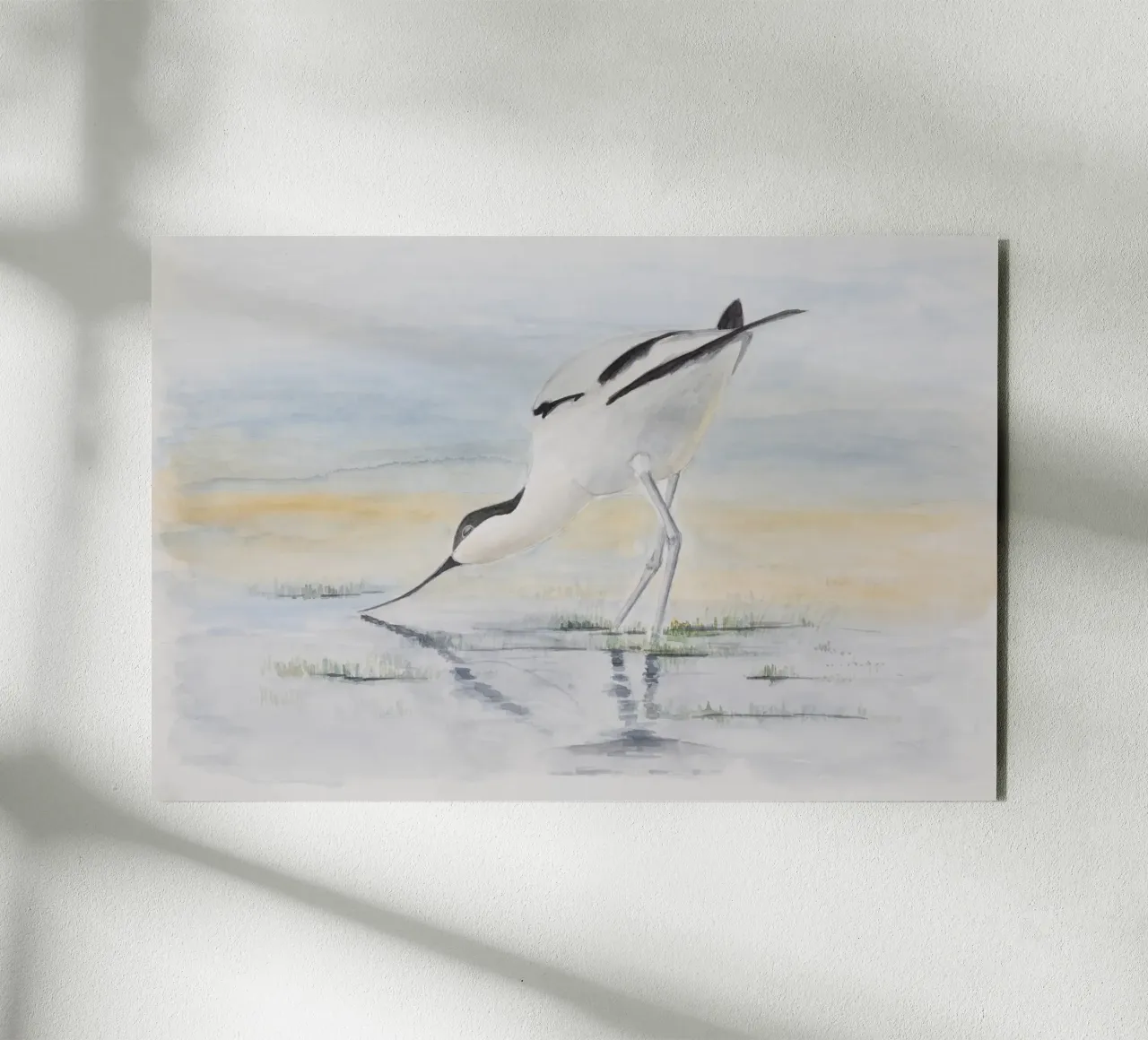 Avocetta - l'uccello dal becco speciale alluminio dibond da Barbara Buderath Illustrationen