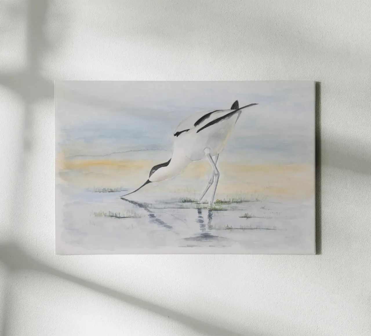 Avocetta - l'uccello dal becco speciale tela da Barbara Buderath Illustrationen