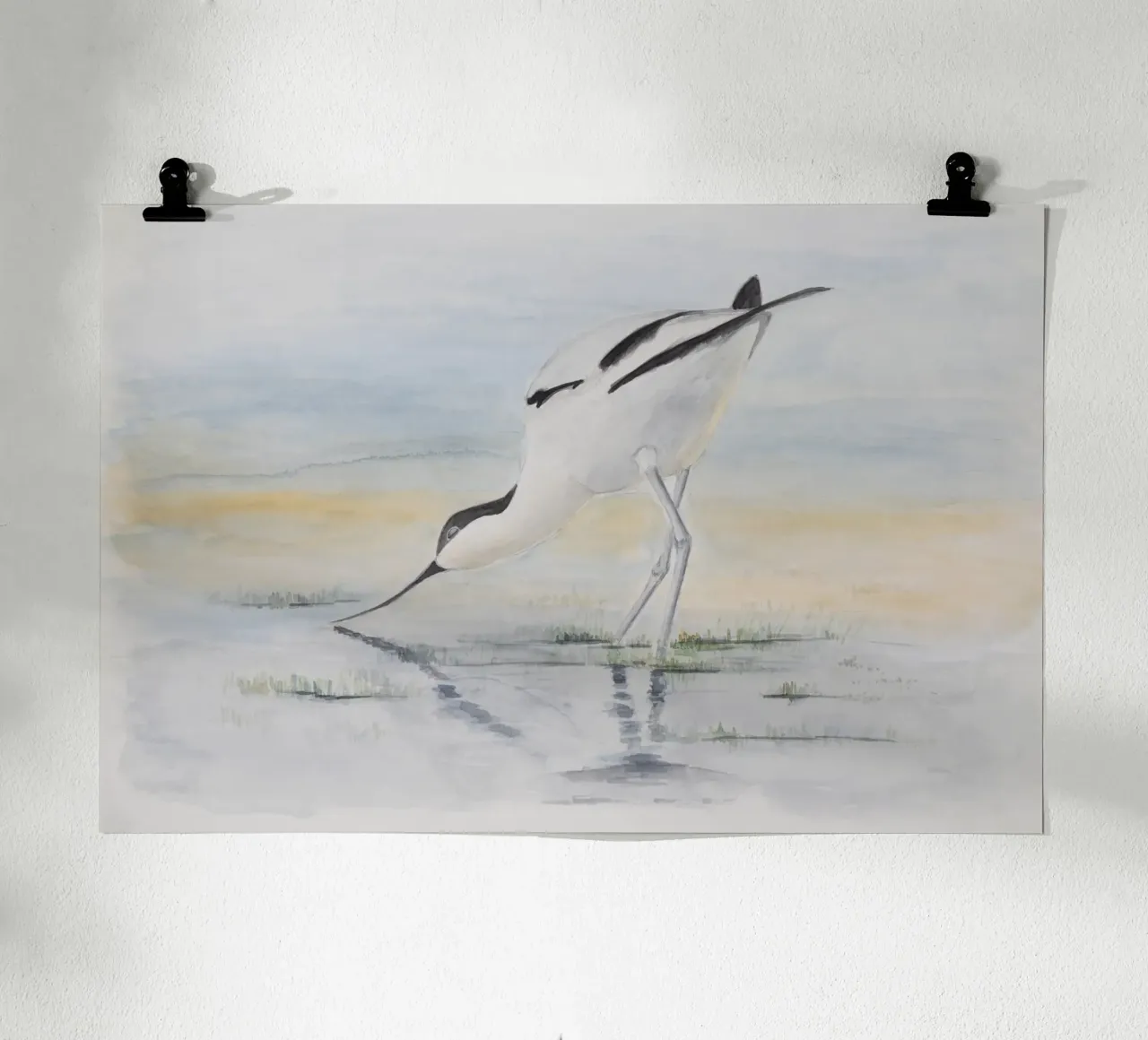 Avocetta - l'uccello dal becco speciale carta hahnemühle da Barbara Buderath Illustrationen