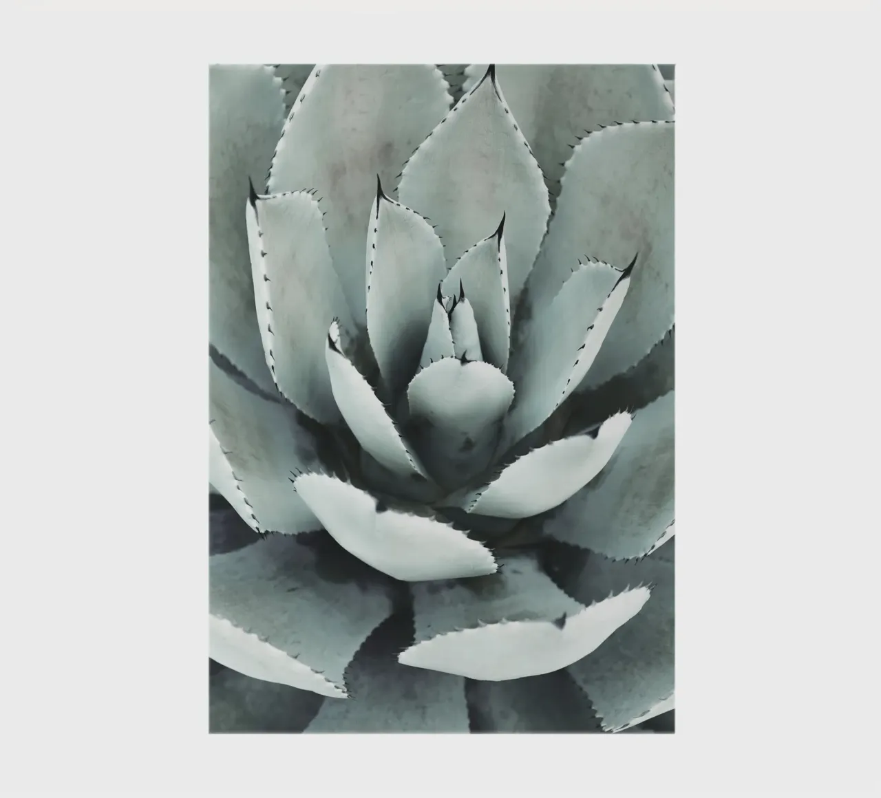 Agave" nature statement - Stylish succulent design notebook by Whole©