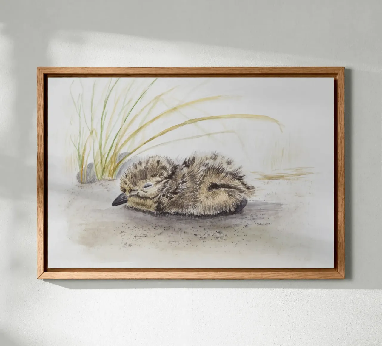Seabird chicks canvas with Floater frame by Barbara Buderath Illustrationen