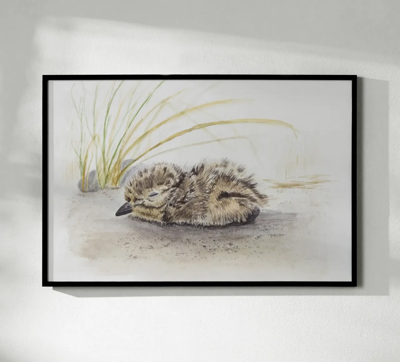 Pulcini di uccelli marini poster con telaio in legno da Barbara Buderath Illustrationen