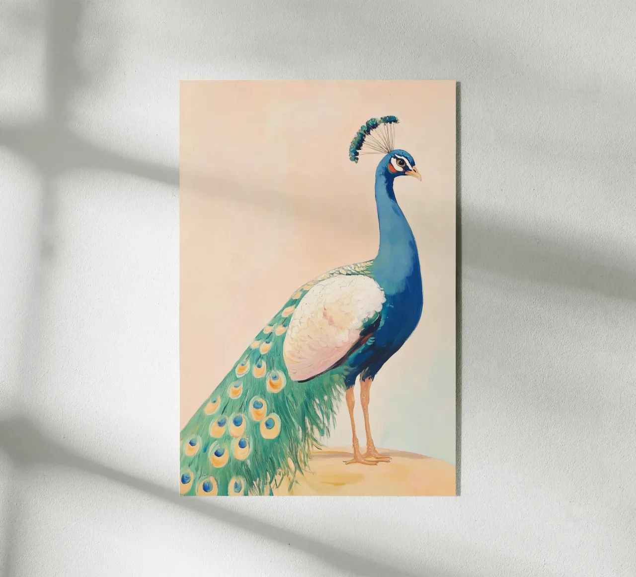 Pavone colorato plexiglass da Melloi Art Print