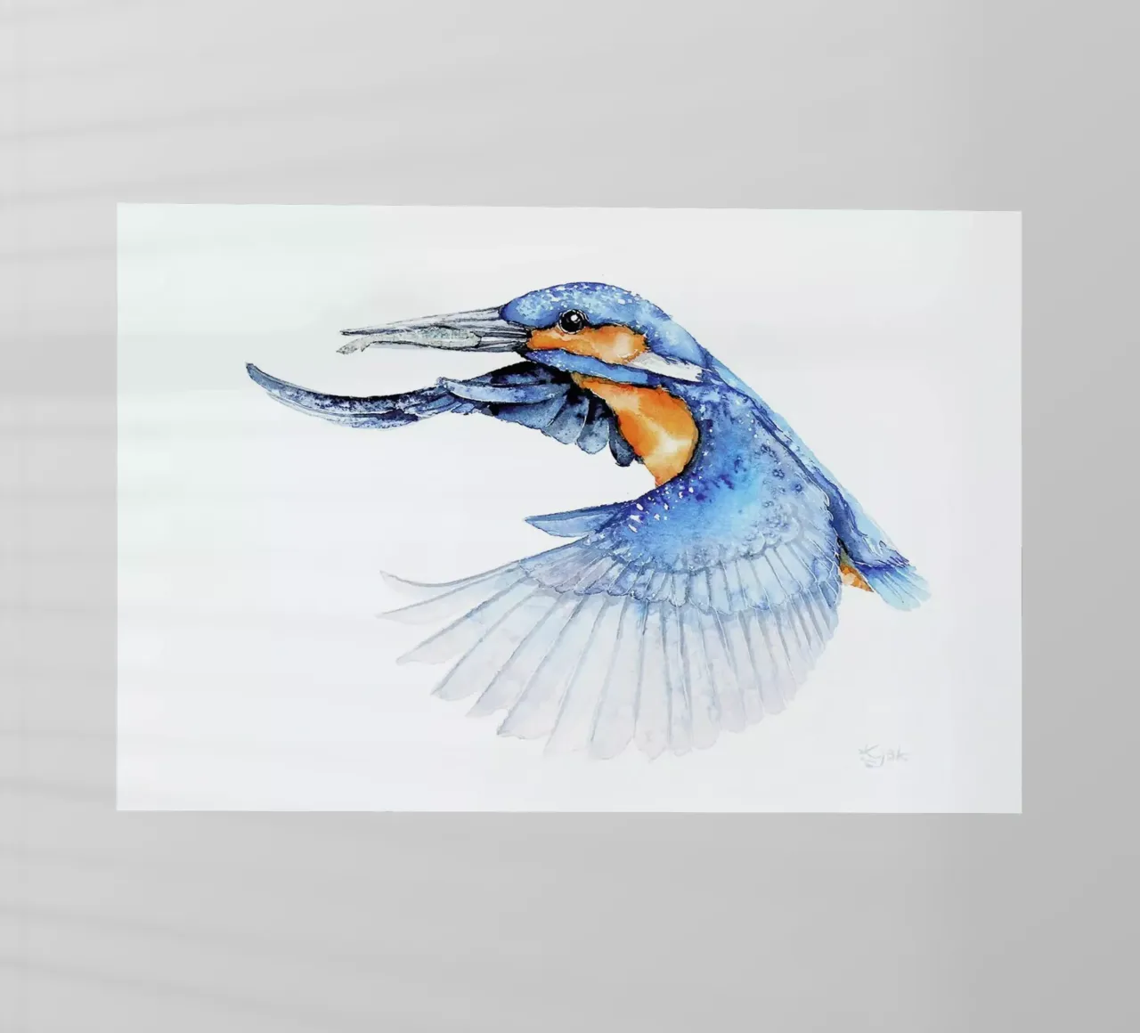 Kingfisher pellicola backlit da Karolina Kijak