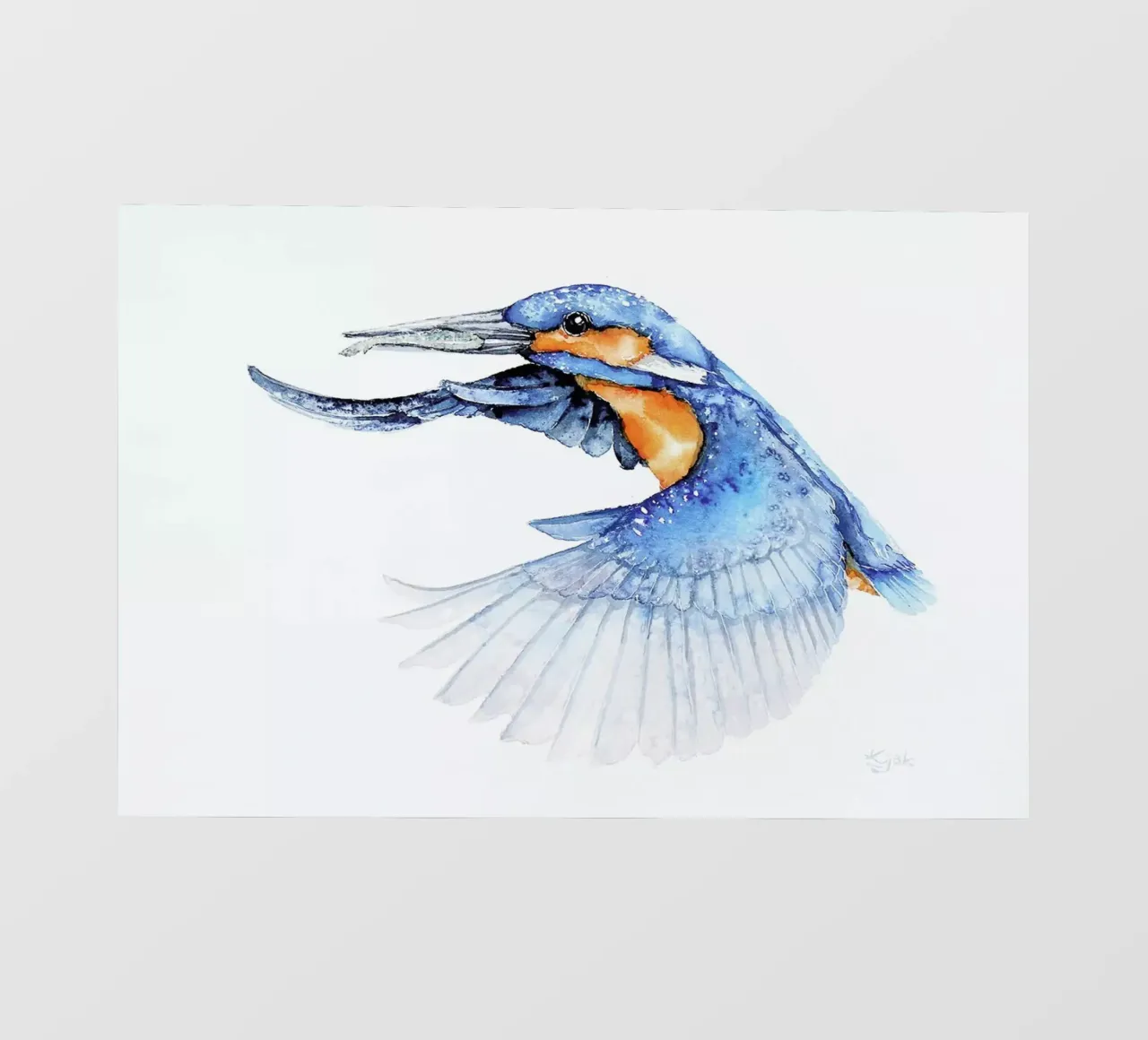 Kingfisher pellicola backlit da Karolina Kijak
