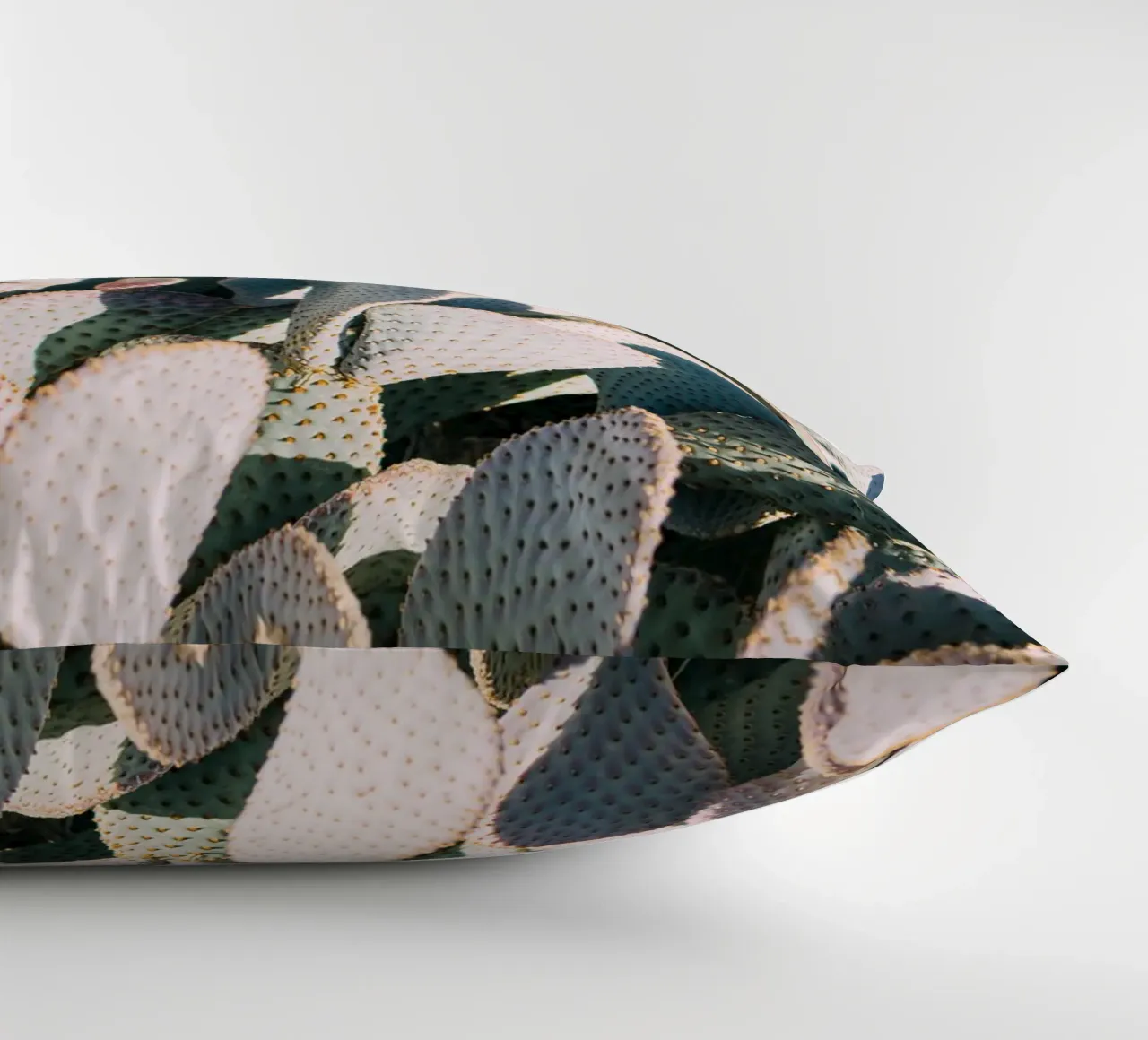 Desert Cacti Closeup cuscino da patiphotography