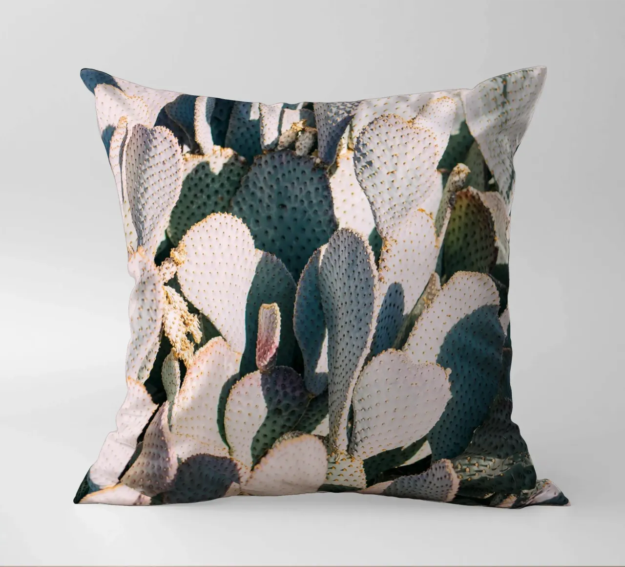 Desert Cacti Closeup cuscino da patiphotography