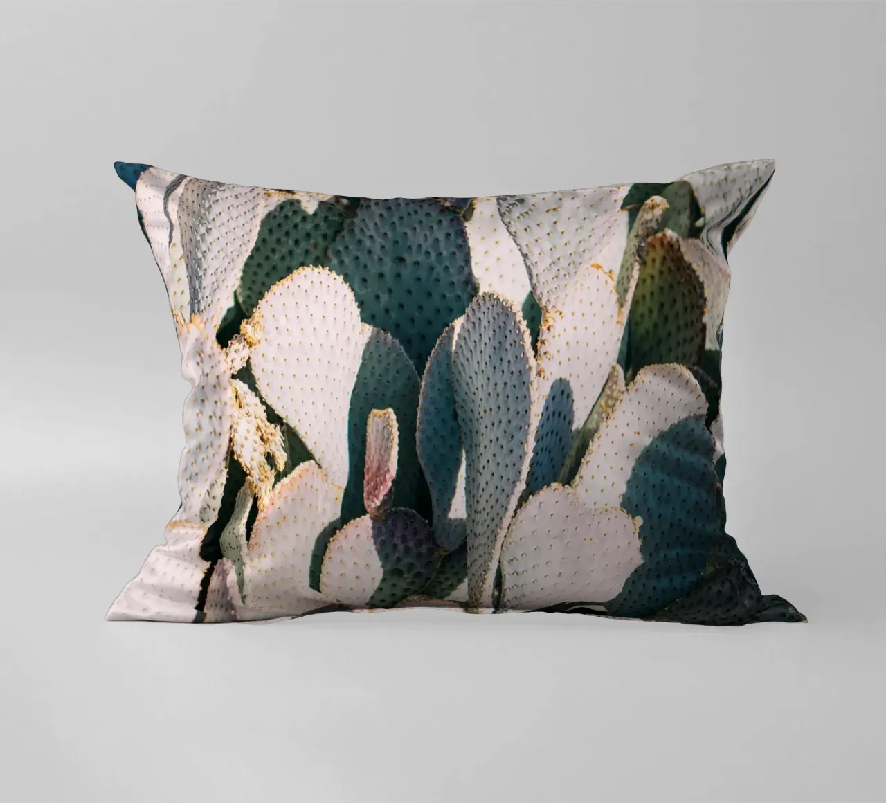 Desert Cacti Closeup cuscino da patiphotography