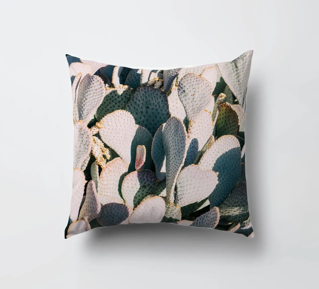 Desert Cacti Closeup cuscino da patiphotography