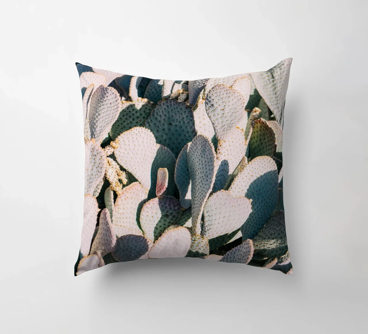 Desert Cacti Closeup cuscino da patiphotography