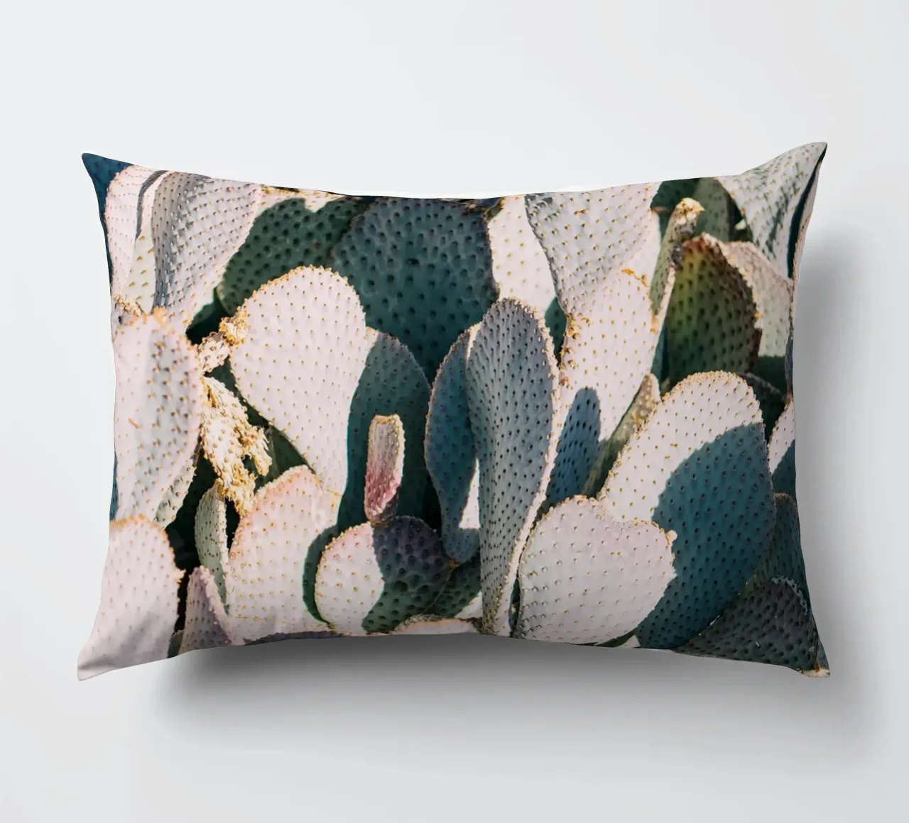 Desert Cacti Closeup cuscino da patiphotography
