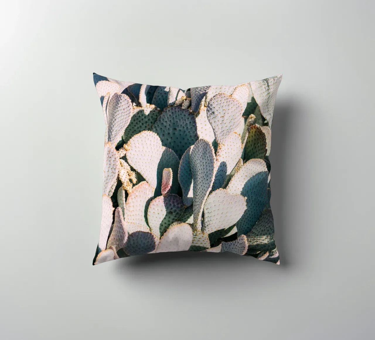 Desert Cacti Closeup cuscino da patiphotography