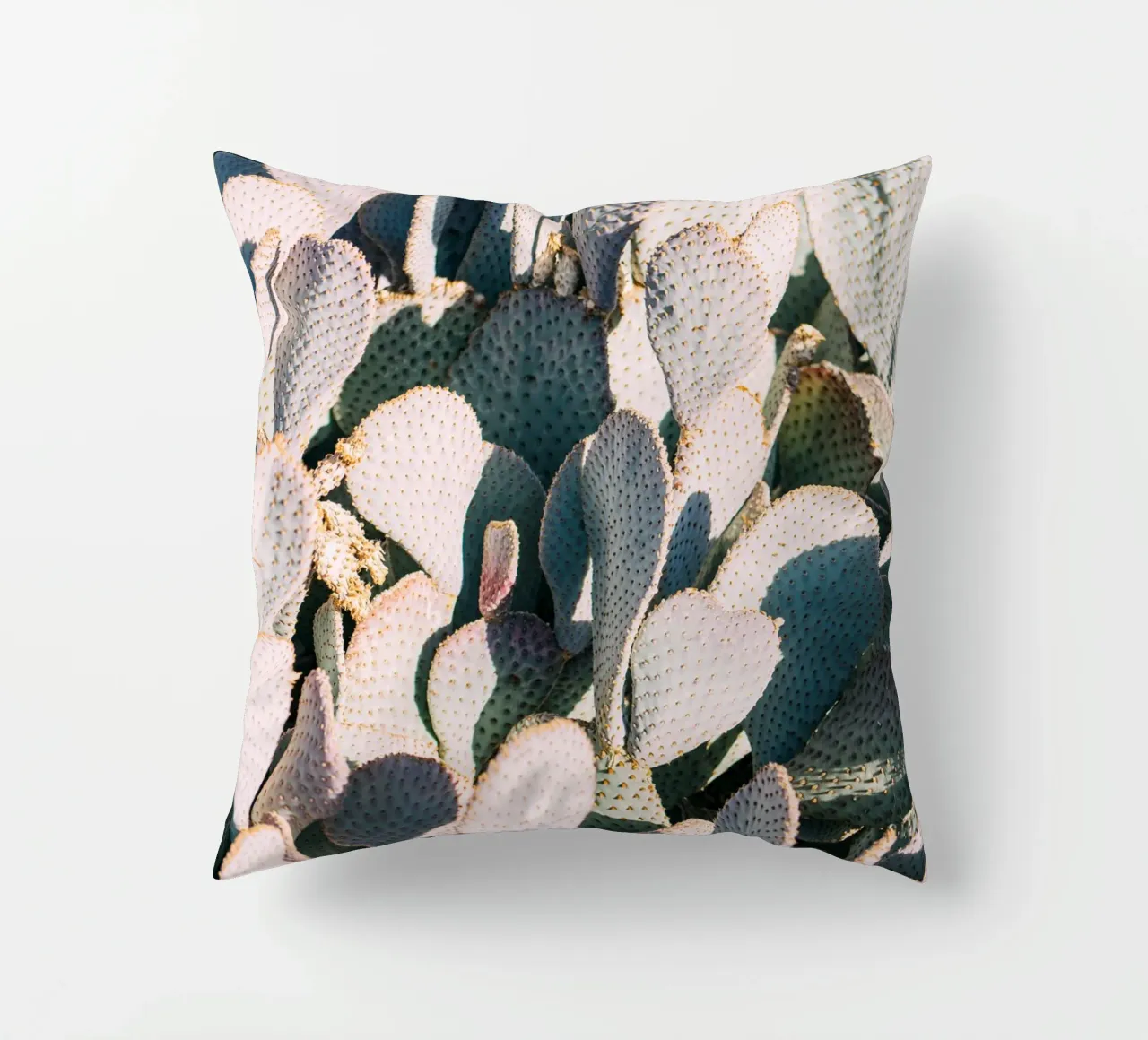 Desert Cacti Closeup cuscino da patiphotography