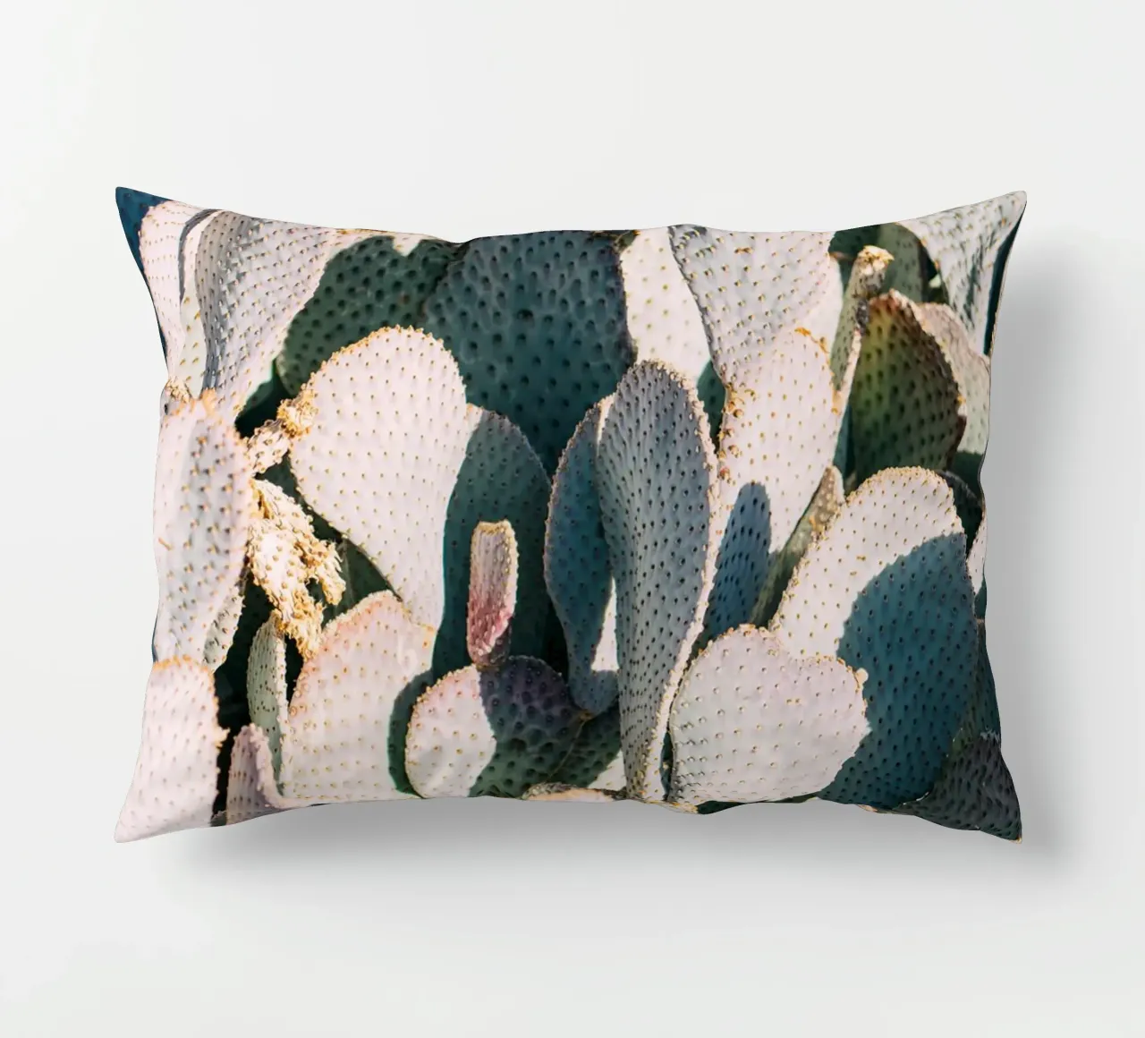 Desert Cacti Closeup cuscino da patiphotography
