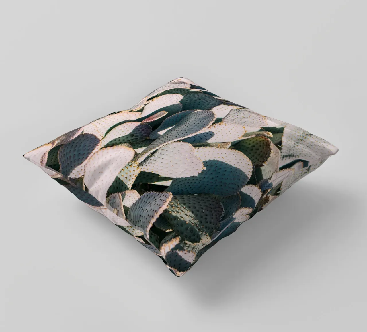 Desert Cacti Closeup cuscino da patiphotography