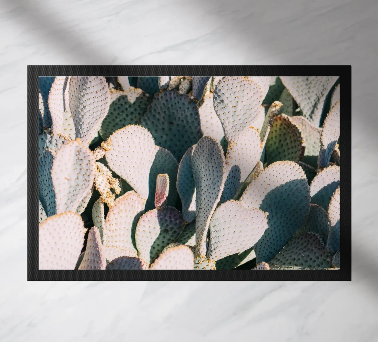 Desert Cacti Closeup zerbino da patiphotography